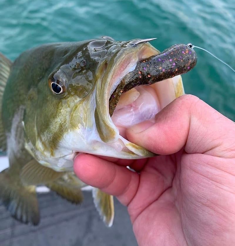 Mini Pro Tube Head - 4 Pack - 1/4 oz Finesse Fishing Jig Heads