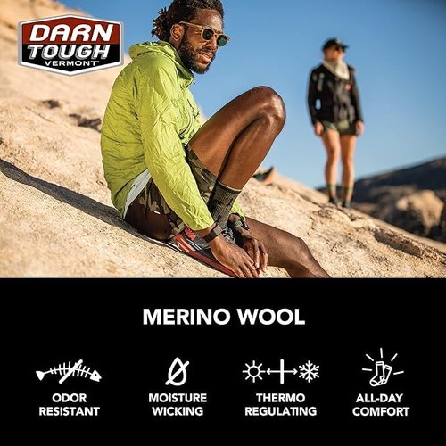 Darn Tough Vermont Mens Hiker Merino Wool Boot Socks Cushion Rye Large