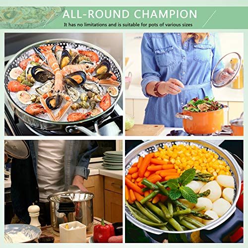 Stainless Steel Folding Vegetable Steamer Insert - 5" to 9"