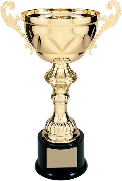 Decade Awards Metal Cup Trophy - Engraved Corporate Love Award | Gold or Silver (10-14.5 Inch) - Customize Today