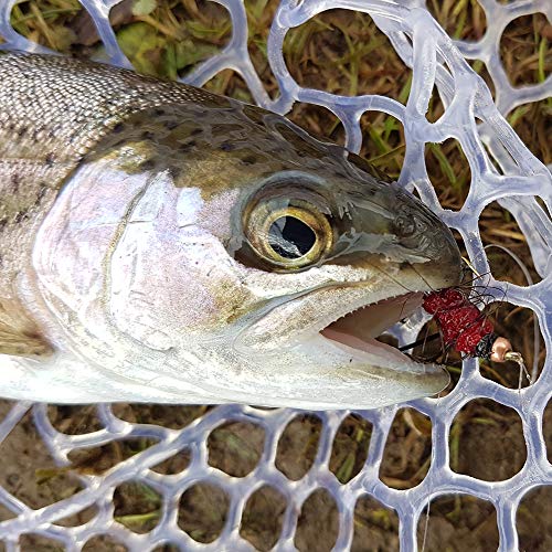 Trout Fly Fishing Kit - 16 Premium Dry & Wet Flies