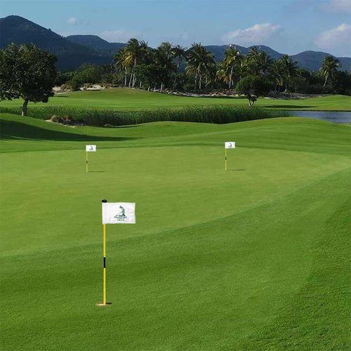 2BUT Pinehurst Golf Club Golf Pin PGA Flag Practic Putting Green Golf Flag For Backyard Garden Double-Sewn 600D Nylon Miniature Pin Flag Regulation Tube Flag(A 8"X6")