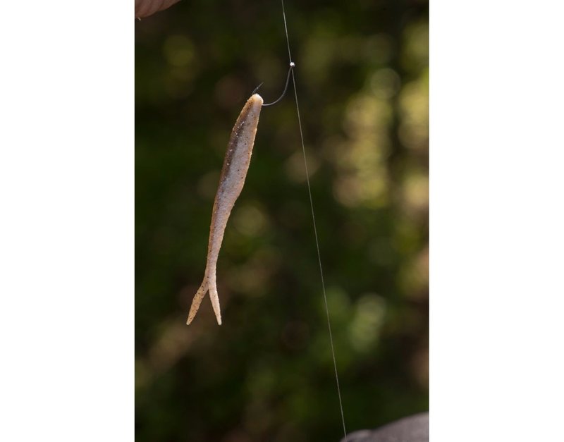Berkley PowerBait MaxScent Fishing Soft Bait