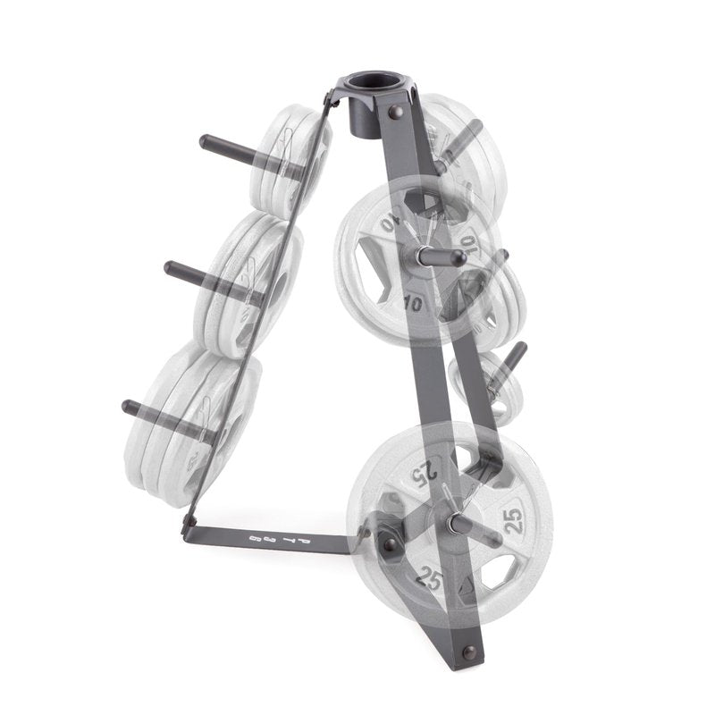 Marcy Plate Tree for Standard Size Weight Plates/Storage Rack for Exercise Weights PT-36 dark grey, 34.00 x 9.00 x 4.00"