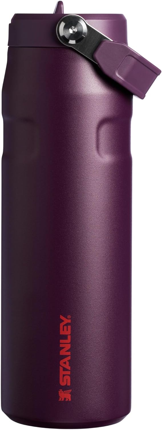 Stanley IceFlow Water Bottle 24 OZ - Insulated Stainless Steel with Built-In Straw | Lightweight & Leak-Resistant | Plum
