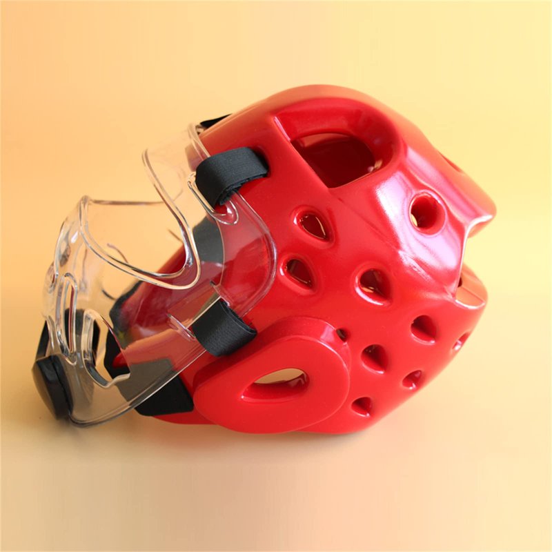 Clear Face Guard, Face Shield Portable Detachable Taekwondo Protection for Sports Karate Martial Arts Face Shield Nose Protector for Sports
