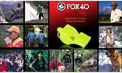 Fox 40 Classic CMG Pealess Safety Whistle - 115 dB Loudness, Purple with Lanyard