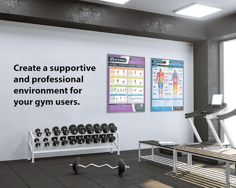 Muscle Groups & Exercise Gym Poster - Large 24" x 16.5" - Laminated Wall Chart