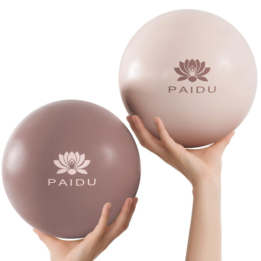 PAIDU Pilates Ball 10-inch Core 2pcs, Anti-Explosion and Anti-Slip Mini Yoga Balls, Suitable for Pilates, Yoga, Core Training, Physical Therapy, Balance, Stability, Stretching Exercises