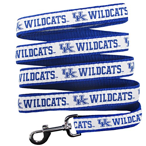 NCAA Dog Leash - Medium Kentucky Wildcats, Durable Nylon