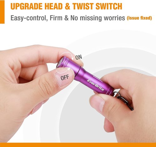 EverBrite Mini Keychain LED Flashlight - Bright Portable Pocket Torch for EDC & Emergencies | Purple