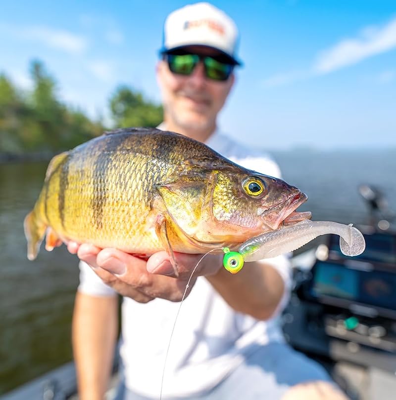 Soft Plastic Paddle Tail Swimbait - Sexy Shad / 4"