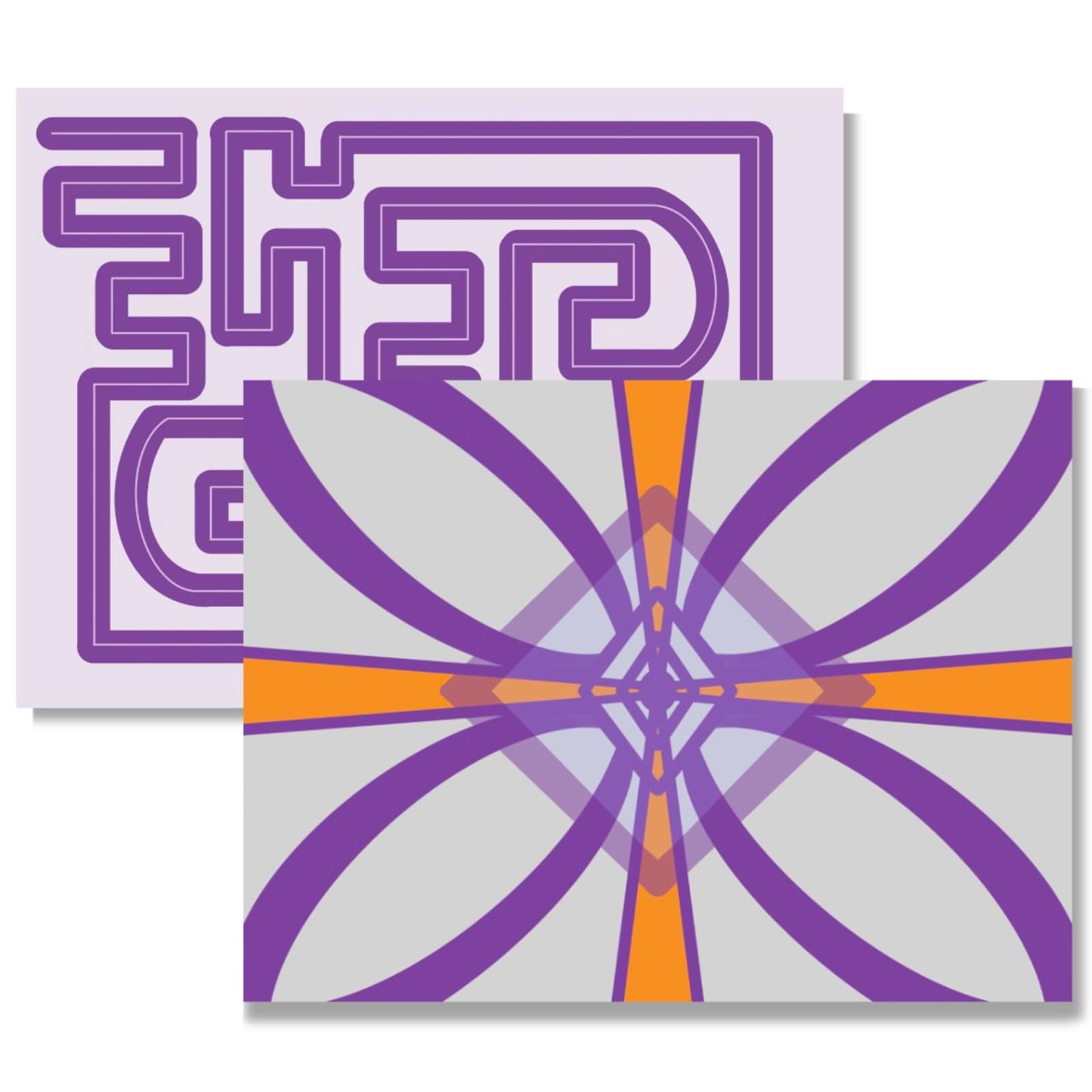 DEFINEST 2 packs of 28.3x21.2 Inch Maze and Cross Posters Use with Head Laser pointer for Sensorimotor Control Testing and Physical Therapy