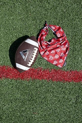 Ohio State Buckeyes Cooling Pet Bandana - Scarlet & Grey