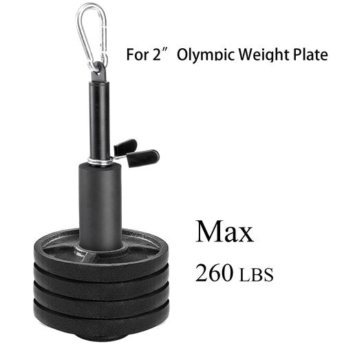 Jucoan Weight Loading Pin for 1 Inch Standard and 2 Inch Weight Plate, Loading Pin with Heavy Duty Carabiner for Cable Pulley System LAT Pulldown Home Gym Workout Equipment