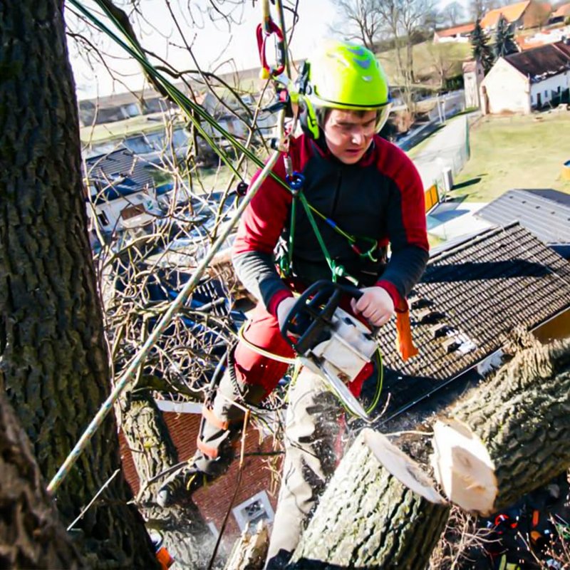 MITOJOSYEER Tree Climbing Gear - Tree Climbing Spikes,for Hunting, Fruit Picking,Climbers of tree climbing equipment