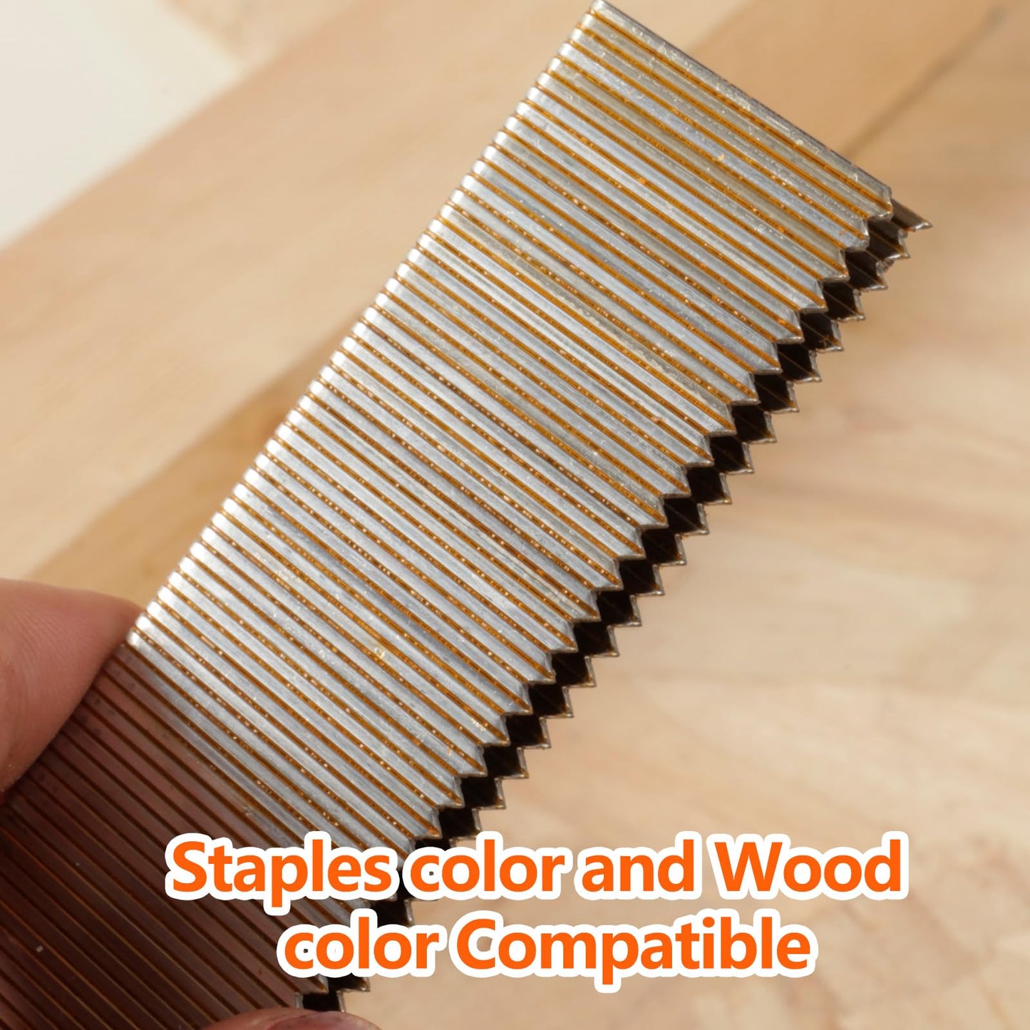 SITLDY 1000-Count 1/2 Inch Length, 18 Gauge 1/4 Inch Narrow Crown Staples, Heavy Duty Beveled Chiseled Pointed Galvanized Staples, for Pneumatic, Electric 18GA Stapler Gun