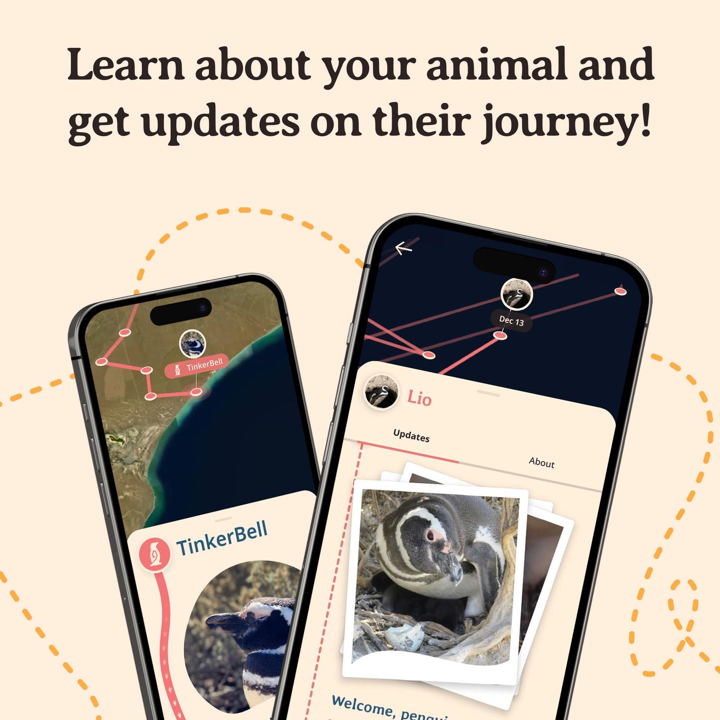 Fahlo Penguin Tracking Bracelet – Track a Real Penguin’s Journey – Supports Wildlife Conservation – Elastic, One Size Fits Most – on Interactive Mobile App Map – Unisex Conservation Gift (Seafoam)