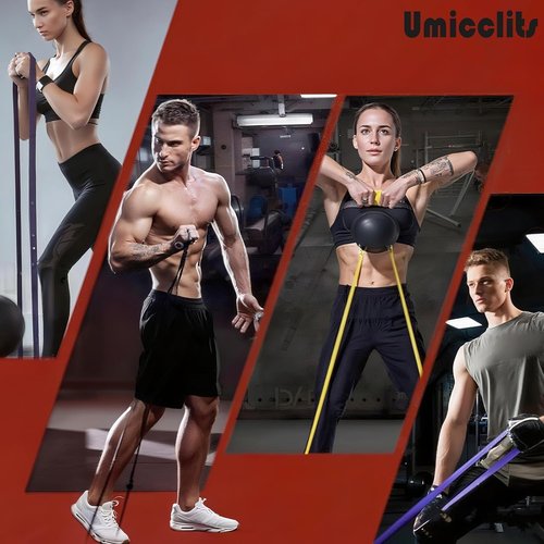 Umicclits Rubber Resistance Bands Set - Elastic Workout Bands for Men & Women, Heavy Duty Fitness Bands Kit for Home Gym, Physical Therapy and Stretch Training-4 Levels