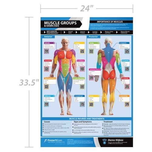 Body Conditioning Gym Posters - Set of 7 Fitness Posters - Laminated Exercise Posters - EXTRA LARGE - 33” x 23.5” - Physical Training and Workouts - Includes Video Training Support