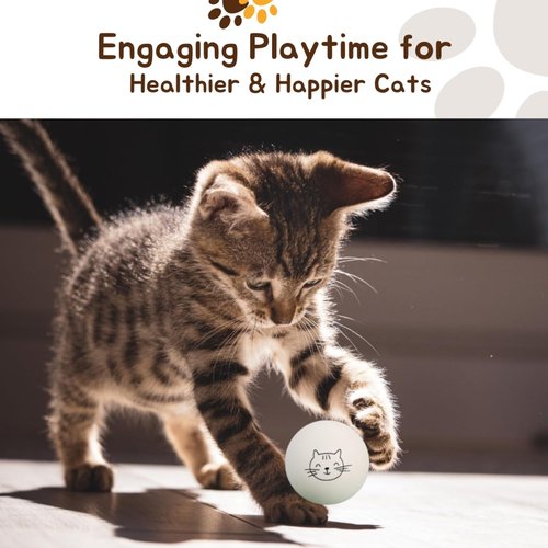 Cloverjoyed Cat Ping Pong Balls - 6 Pack Enrichment Toys for Playful Cats | Perfect Gift for Cat Lovers