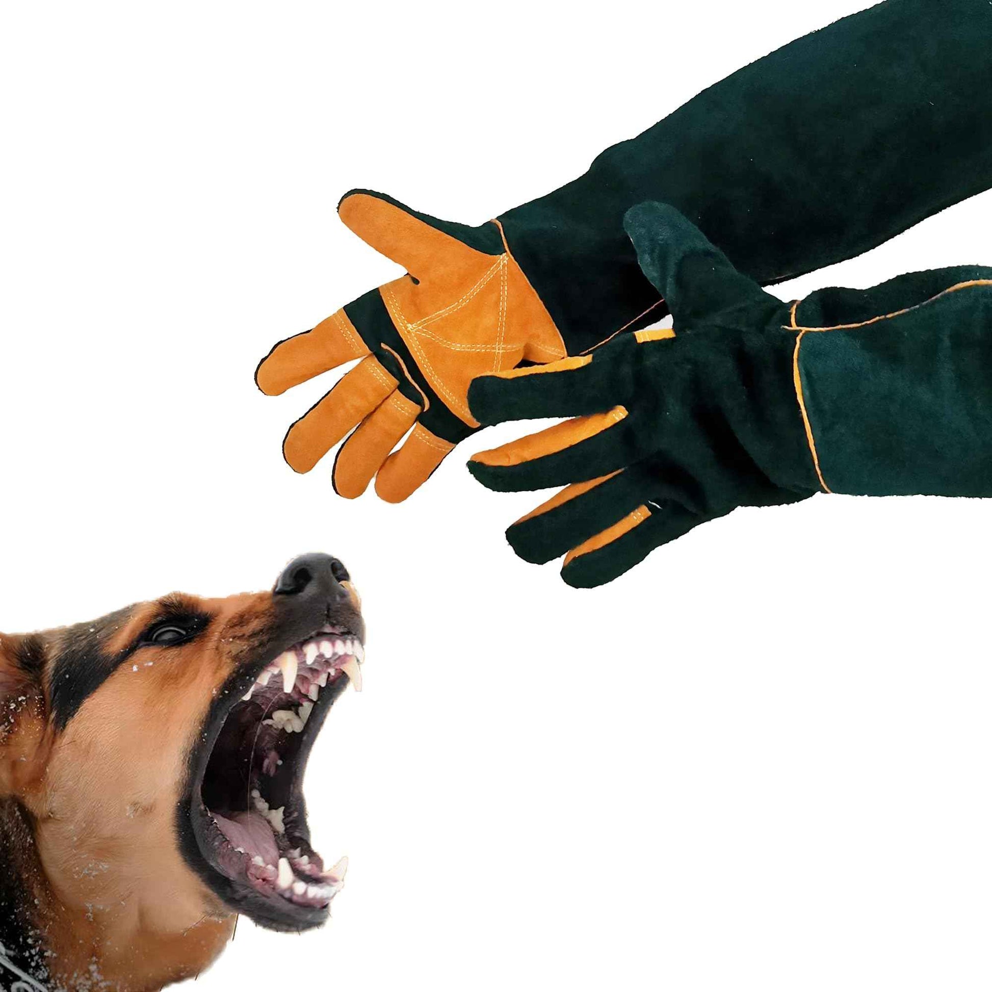 FelRelWel Animal Handling Gloves,23.6" Long Sleeves Gauntlet,Safety Work Glove, Cowhide Leather Anti Bite Glove Confront Pet Cat Bird Bite,Proof Gloves for Dogs Training, Dark Green,1 Pair