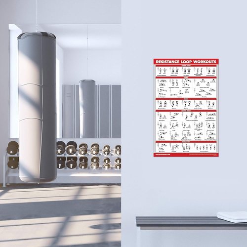 Palace Learning QUICKFIT Resistance Loop Bands Workout Poster - with Plastic Frame - Exercise Chart for Resistance Band Loops - 18" x 24"