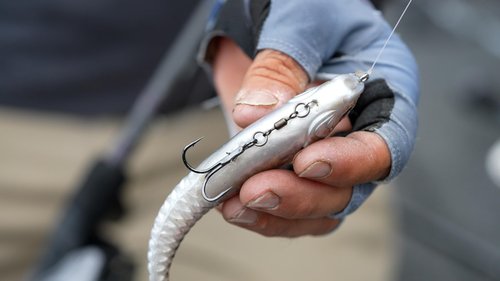 Berkley PowerBait® CullShad Fishing Bait, Albino, 6 in, Soft Swimbait, Equipped with Fusion19TM Hook, Smart Weighting System