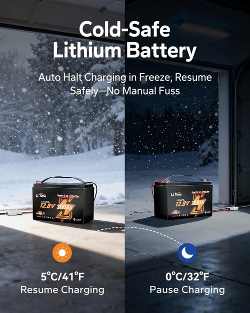Litime 12V Lithium Battery - 100Ah LiFePO4 for Trolling Motors | Bluetooth, 15000 Deep Cycles, 100A BMS, Low-Temp Protection (2-Pack)