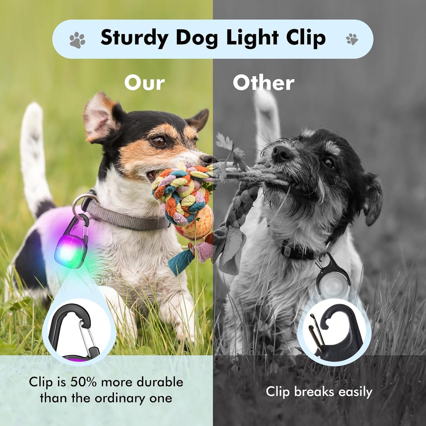 Skiennix LED Dog Collar Lights - Rechargeable Safety Clip-On Lights with 4 Modes | IP68 Waterproof, 2-Pack