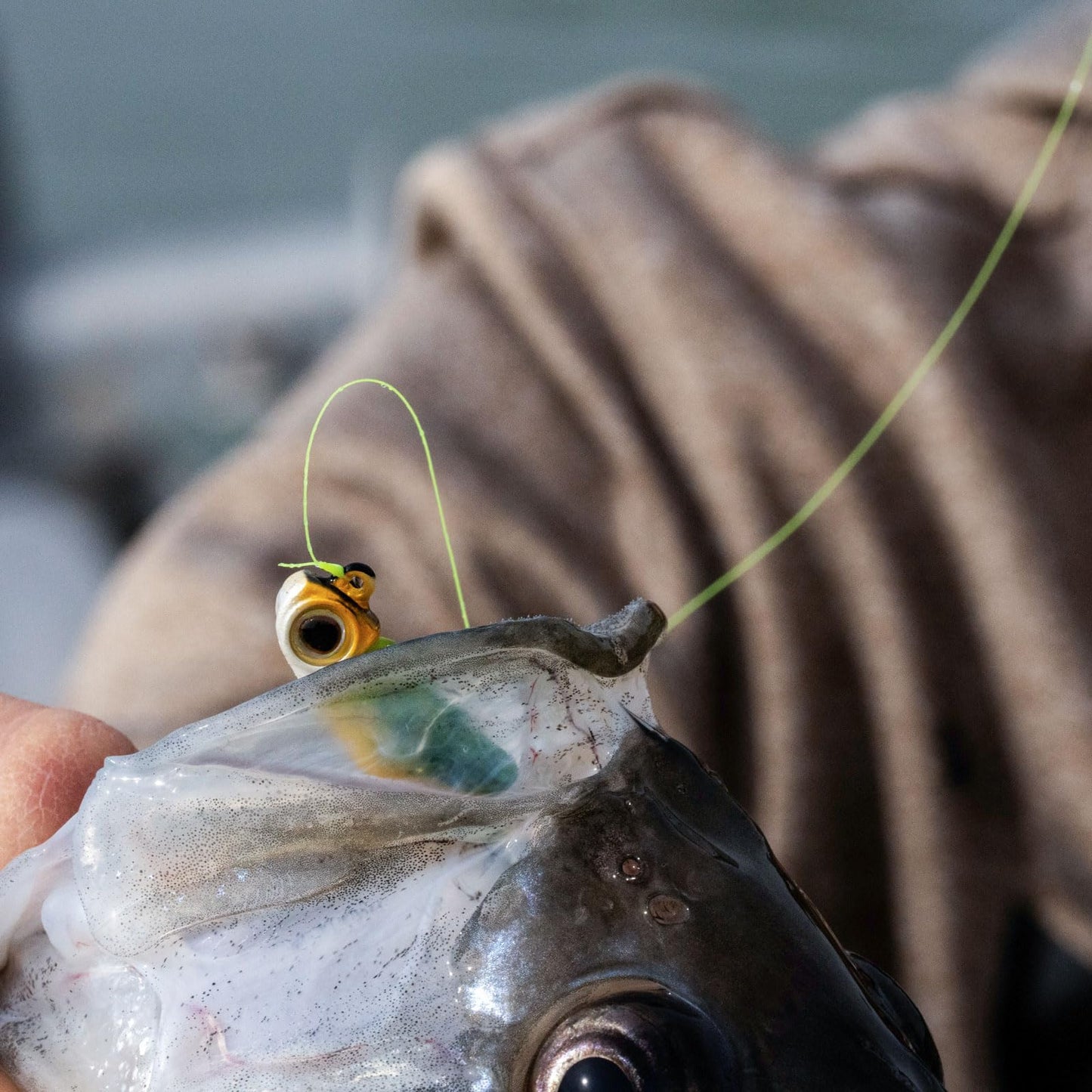 KastKing TriPolymer Crappie Advanced Mono Line, 2LB, 300Yds, Sunrise Yellow