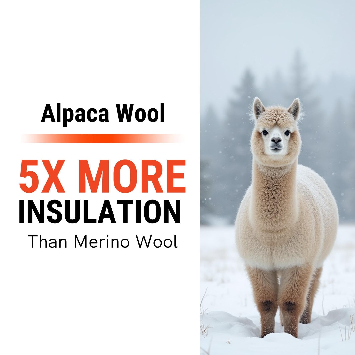 Pure Athlete Alpaca Ski Socks - Premium USA Made Genuine Alpaca Wool Padded Winter Skiing Snowboard Socks for Men and Women