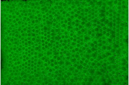 Lancer Tactical Pro Series 0.28g Tracer Airsoft BBS 4000 RoundsX3