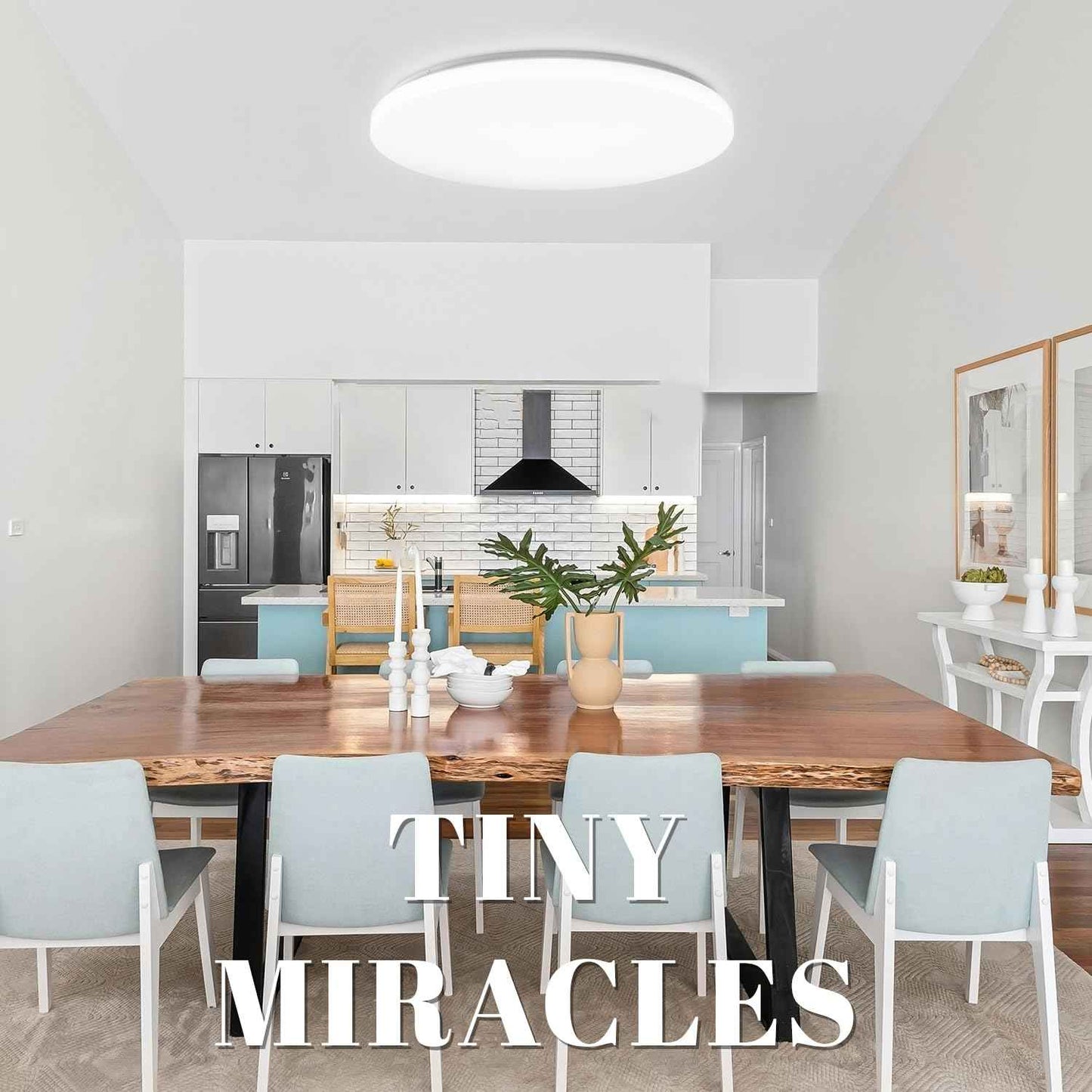 Hamilyeah 24 inch Flush Mount Ceiling Light Fixture, Drum Light Fixture Ceiling Mount 48W 5000K, Simple LED Close to Ceiling Lighting Fixture Round for Living Room, Bedroom, Kitchen