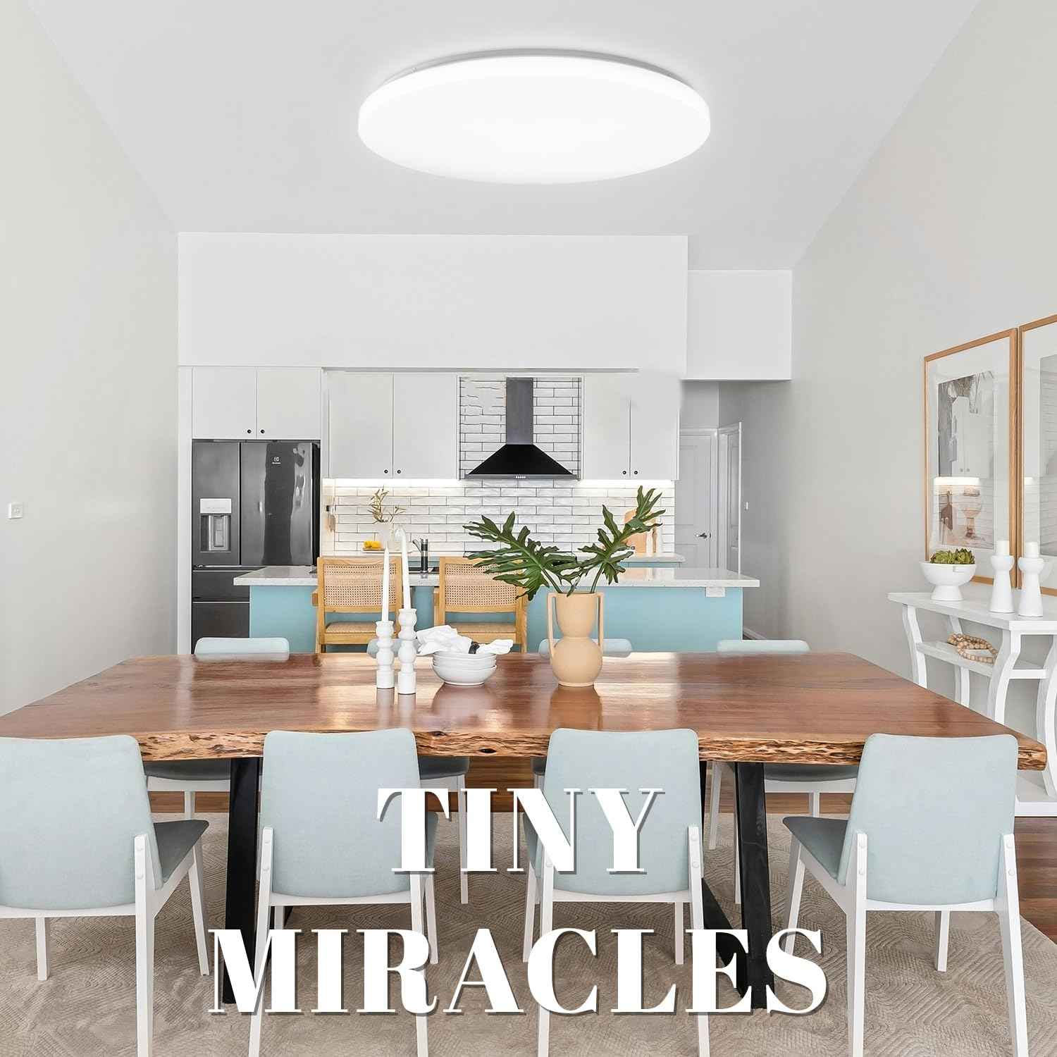 Hamilyeah 24 inch Flush Mount Ceiling Light Fixture, Drum Light Fixture Ceiling Mount 48W 5000K, Simple LED Close to Ceiling Lighting Fixture Round for Living Room, Bedroom, Kitchen