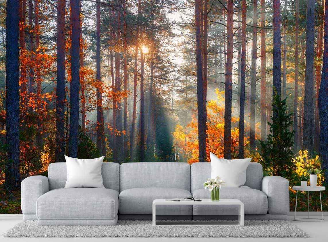 Wmjurel Autumn Sunshine in The Woods Wallpaper, Natural Landscape Mural, Modern Living Room Bedroom Backdrop Wall Mural(Non-self-Adhesive)