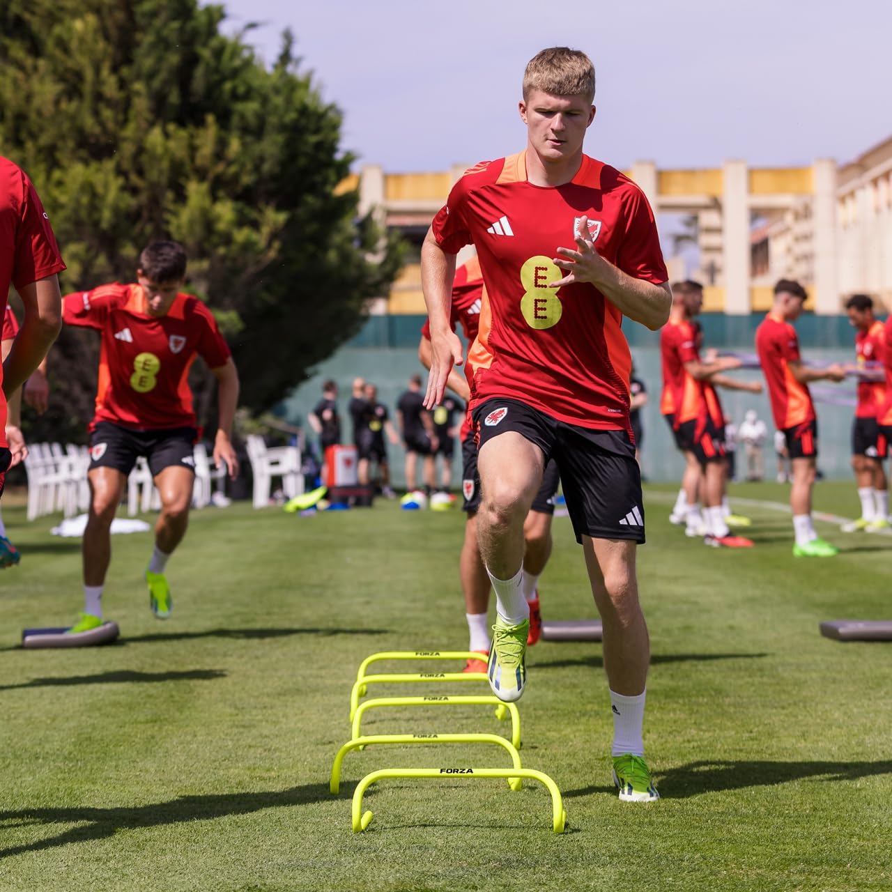 NWS Forza Speed Training Hurdles - Enhance Agility & Speed for Multi-Sport Training | Available in 6'', 9'', & 12''