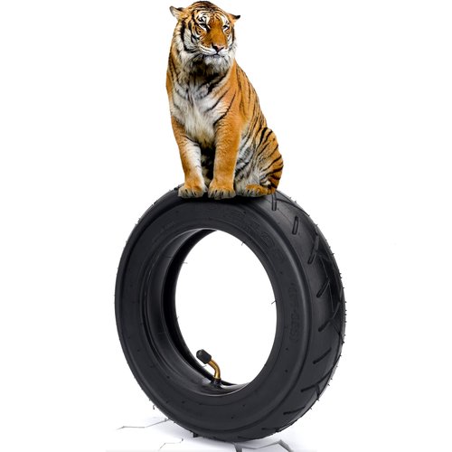 10x2.125 Tire and Inner Tube with 45° Valve Stem Compatible with Self Balancing Scooter, Smart Electric Bike, Bicycle, Tricycle, Stroller Replacement Wheels for 10-inch Tires with 6-inch Rims