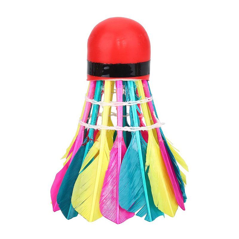 VGEBY 11Pcs Badminton Shuttlecocks, Badminton Balls Badminton Birdies Colorful Shuttlecocks Rainbow Ball Badminton for Sports Training Activities Rainbow Birdies Rainbow