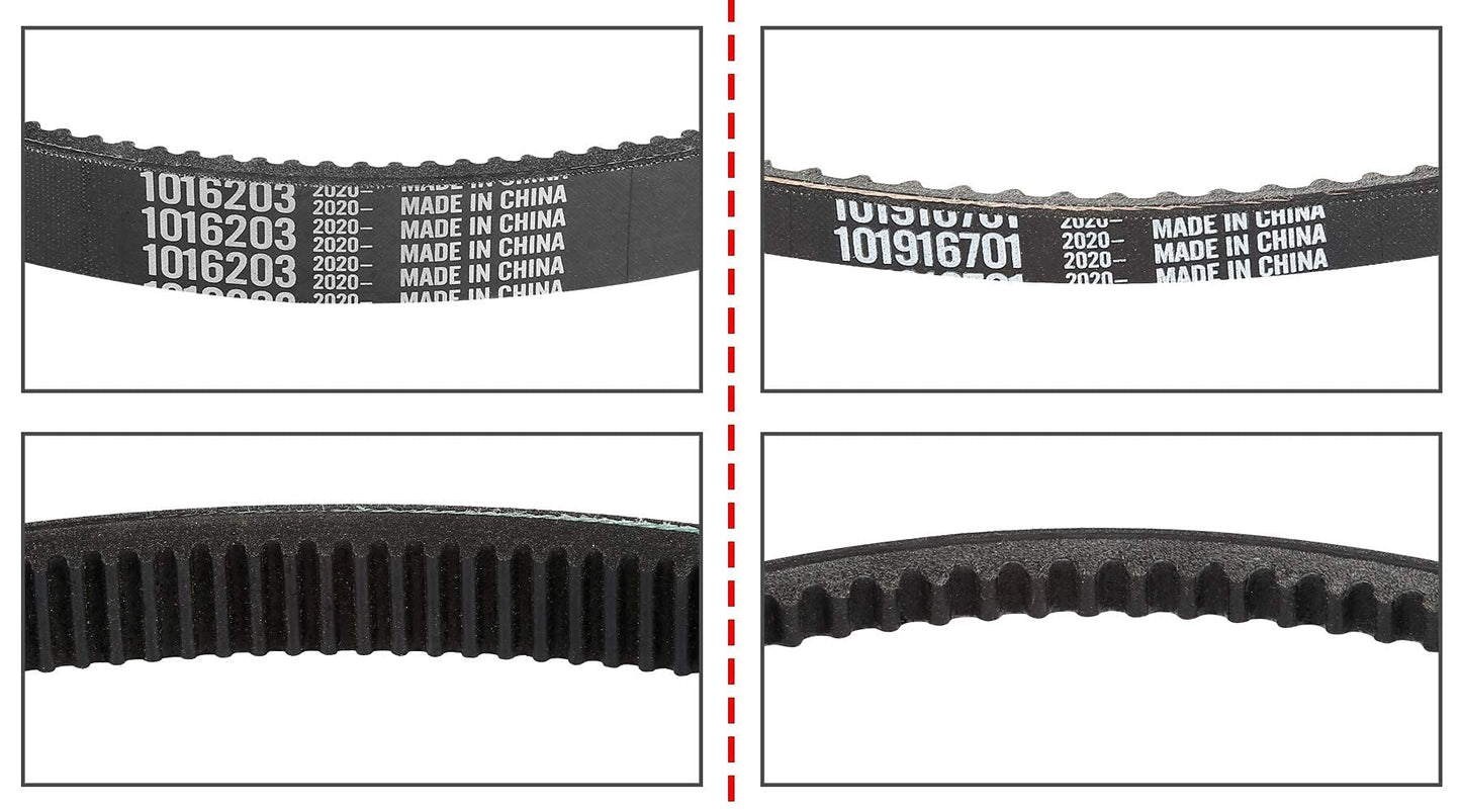 10L0L Clutch Drive Belt & Starter Generator Belt Kit for Club Car DS 1997-up, Club Car Precedent 2004-up Gas Golf Cart, Replace OEM 101916701 1016203