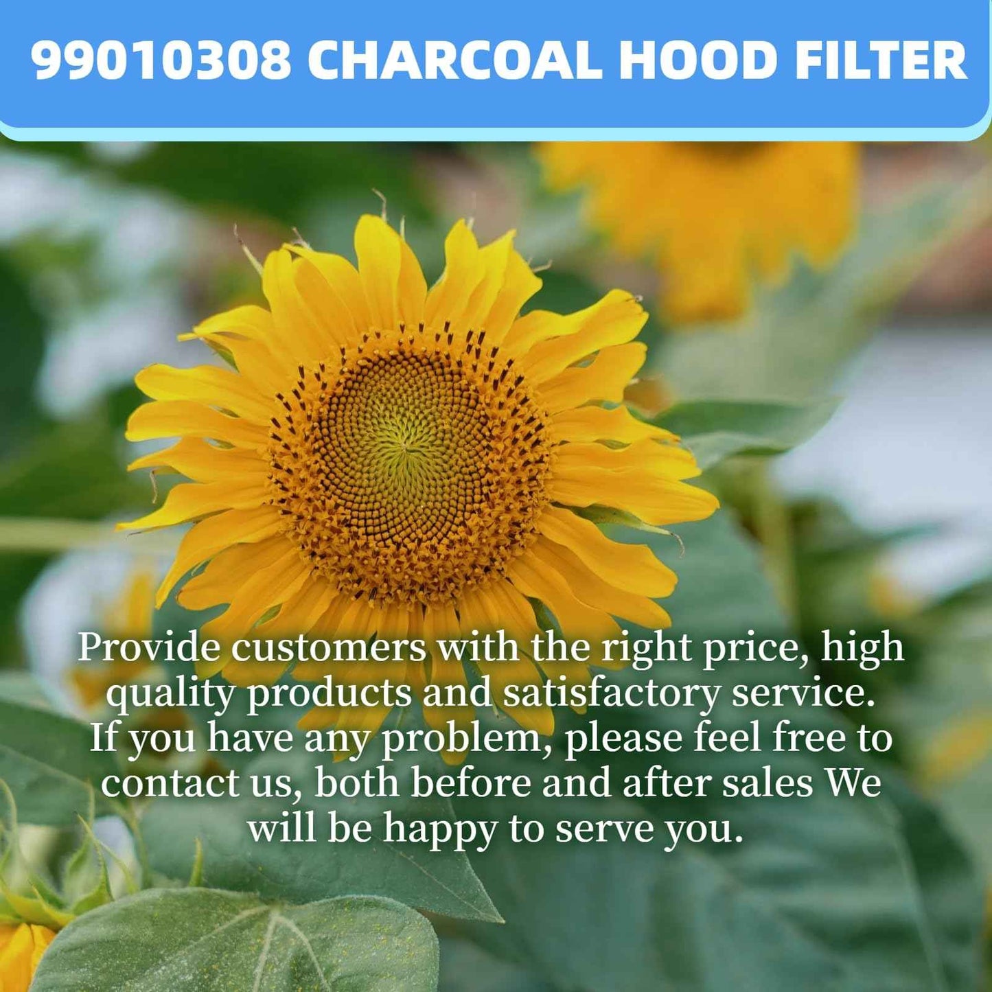 YUEERIO S99010308 Carbon Replacement Filter compatible with Broan QS WS BPSF30 GE: WB02X10707 NON-Ducted Range Hood Charcoal Filters 10.8" X 13.3" (2-Pack)