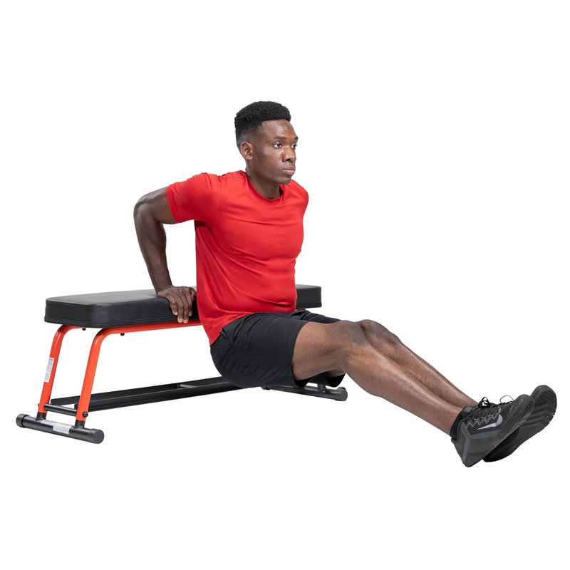 Sunny Health & Fitness Power Zone Strength Flat Bench with Dumbbell Rack and Transport Wheels - SF-BH6996, Black