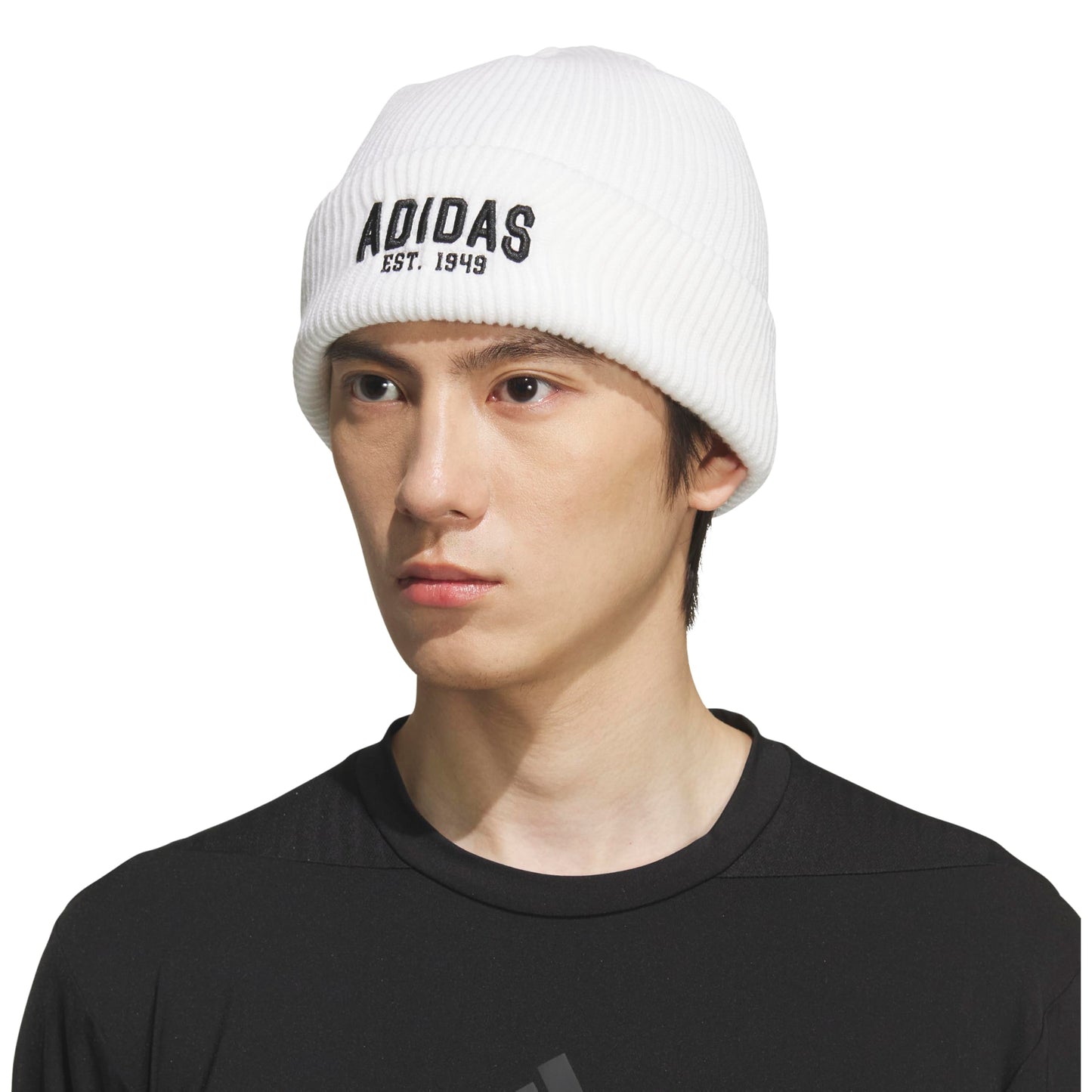 Foundation Beanie, Standard fit Cuffed Acrylic Knit hat/Cap for Winter