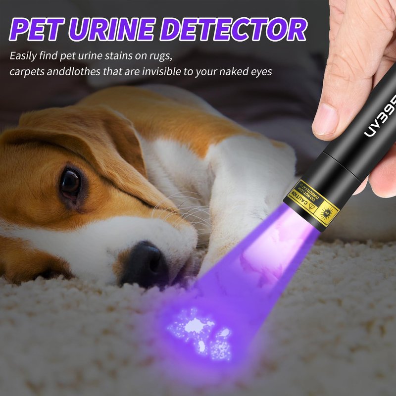 UV Flashlight Rechargeable 395nm Black Light for Pet Urine Detection, USB - C Portable Blacklight Mini Powerful Woods Lamp LED ultra violet Flashlights uv for Resin Curing, Leak Detection, Travel