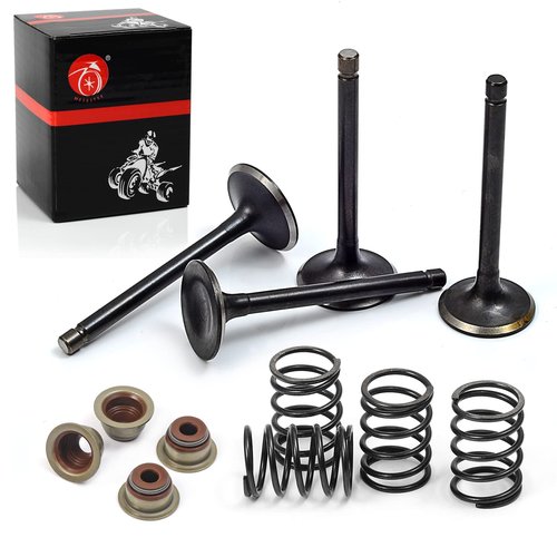 Intake Valve Exhaust Valve and Seals Spring For EZGO 4 Cycle Gas Golf Cart Fuji Robin 295 cc 350 cc 1992-2002 72507-G01 72508-G01