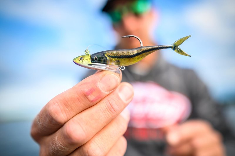 Berkley PowerBait The Champ Minnow Fishing Soft Bait, HD Silver Shiner, 3.4in
