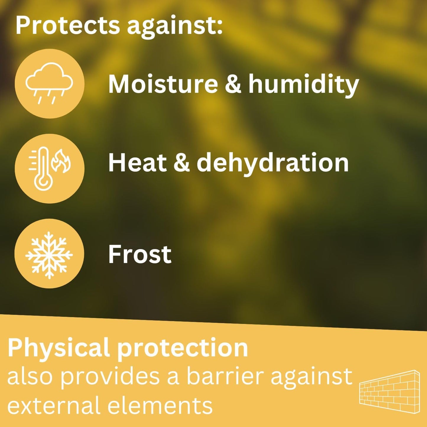 Briliantwerk 28 oz Transparent Tree Pruning Sealer - Tree Wound Sealer - Protective Coating for Pruning Cuts & Grafting Ideal for Tree Bark & Branch Care