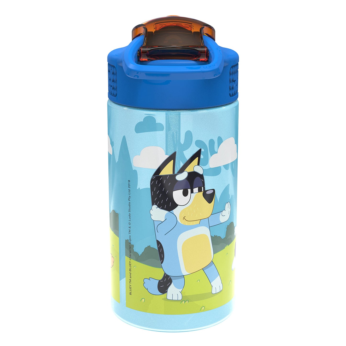 Zak Designs Bluey Sage 16oz Leak-Proof Straw Kids Water Bottle, 2-Pack