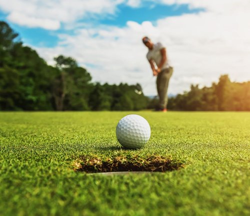 LostGolfBalls e6 Golf Balls - Mint Condition AAAAA Quality | Recycled White Golf Balls for Best Value