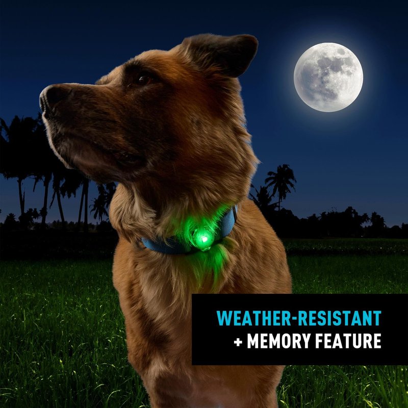 Nite Ize NiteDog Rechargeable Pet Light - Dog Light with Weather-Resistant Design - Perfect for Walks, Camping & More - Disc-O Tech (2 Pack)